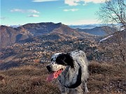 MONTE PODONA  da Salmezza il 22 gennaio 2022- FOTOGALLERY